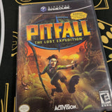 Pitfall - Nintendo GameCube